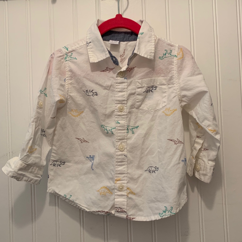 Dino Button Down